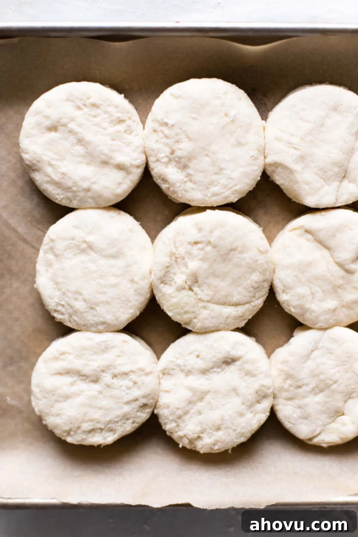 Overhead view of nine raw biscuits on parchment paper.