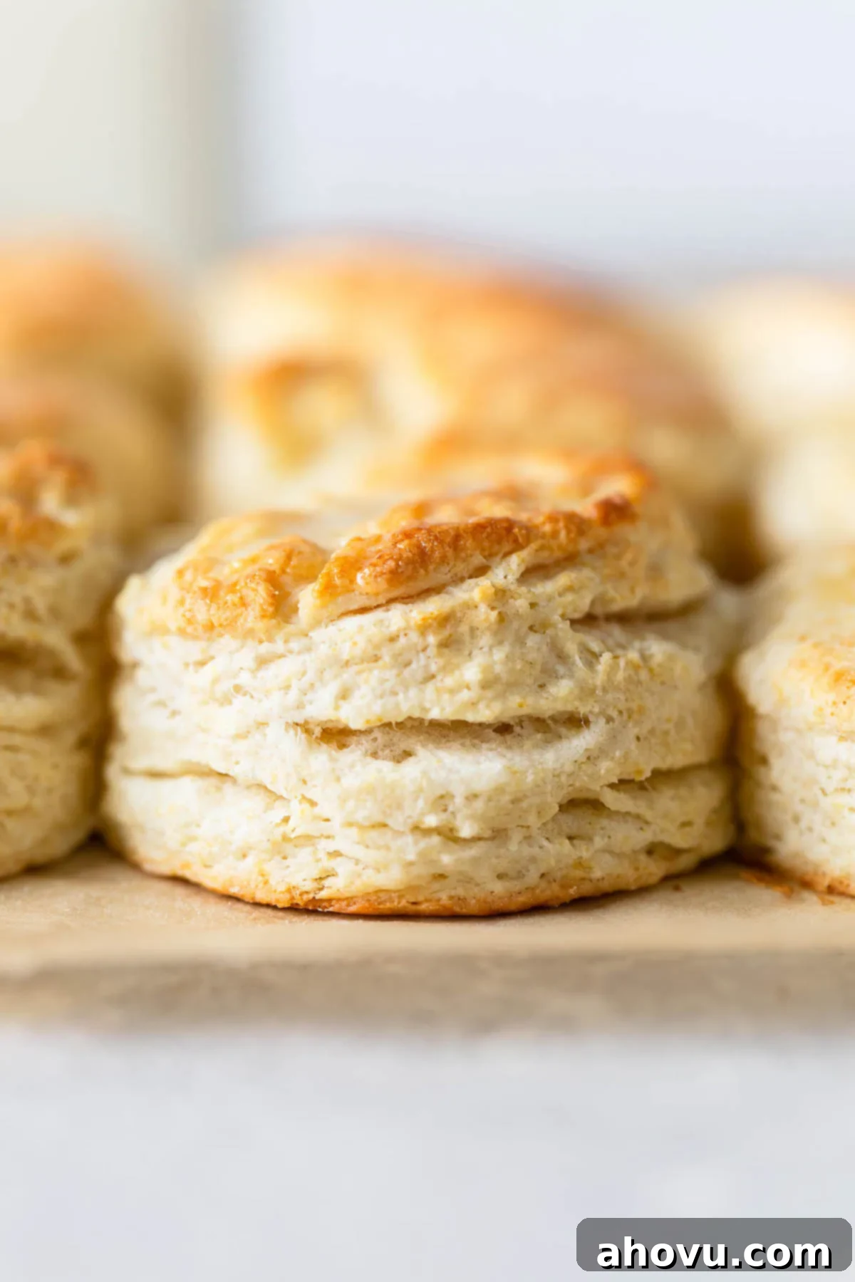 A side view of rows of homemade buttermilk biscuits on parchment paper. 
