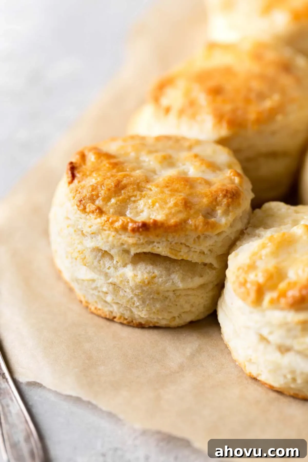 Baked biscuits on a piece of parchment paper. 