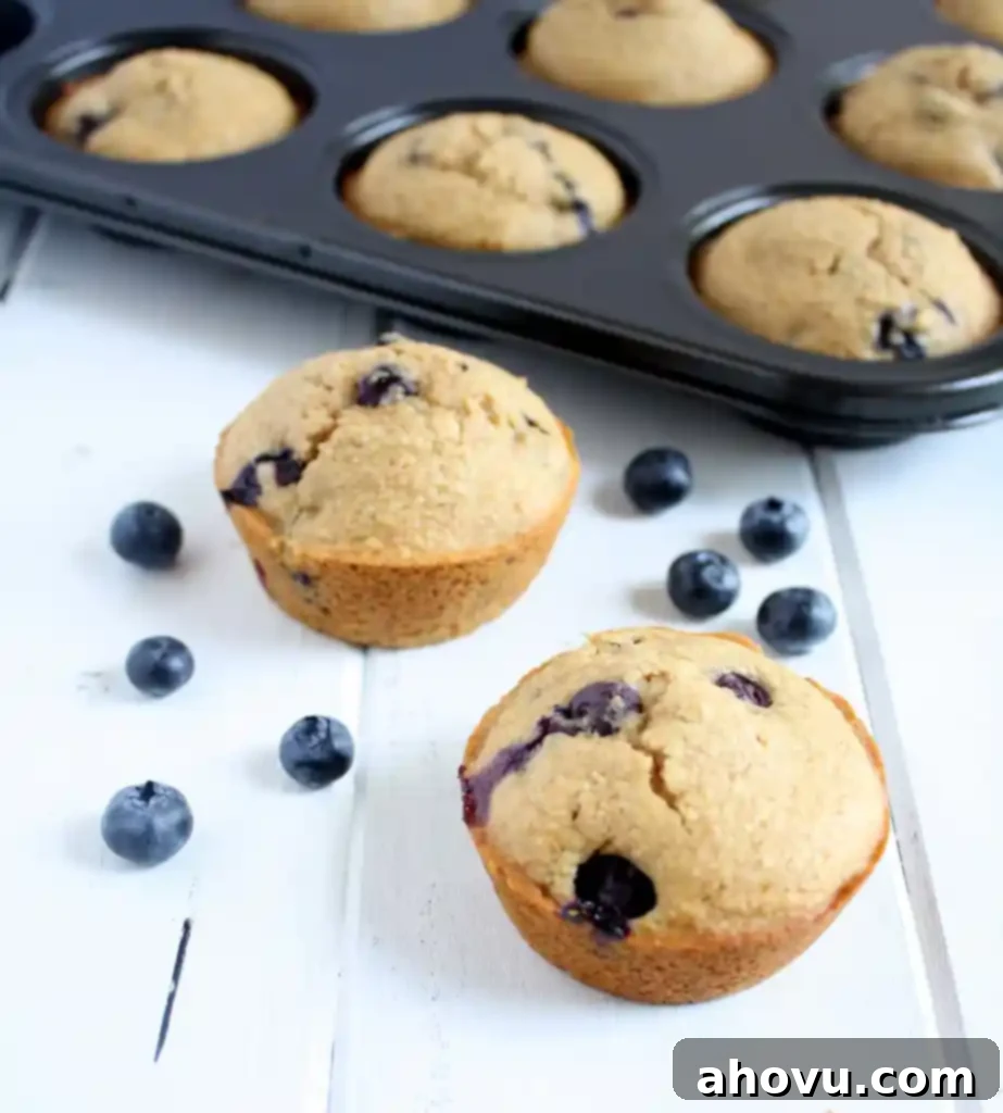 Two perfectly baked Whole Wheat Blueberry Muffins standing proudly in front of a muffin pan, showcasing their golden-brown tops and vibrant blueberry peek-throughs.