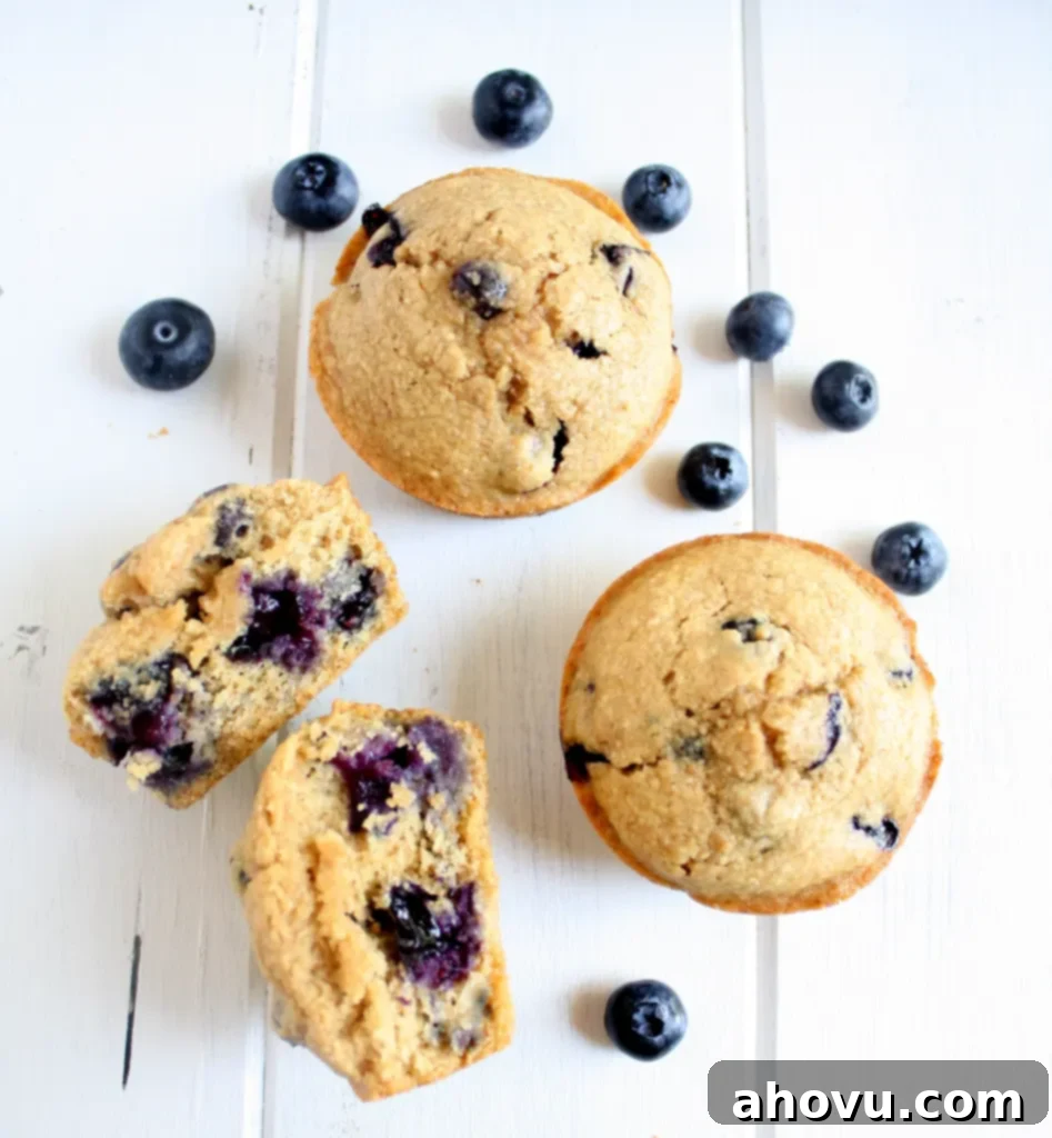 An inviting overhead shot of three healthy blueberry muffins, with one artfully torn in half to reveal its moist, fruit-filled interior.