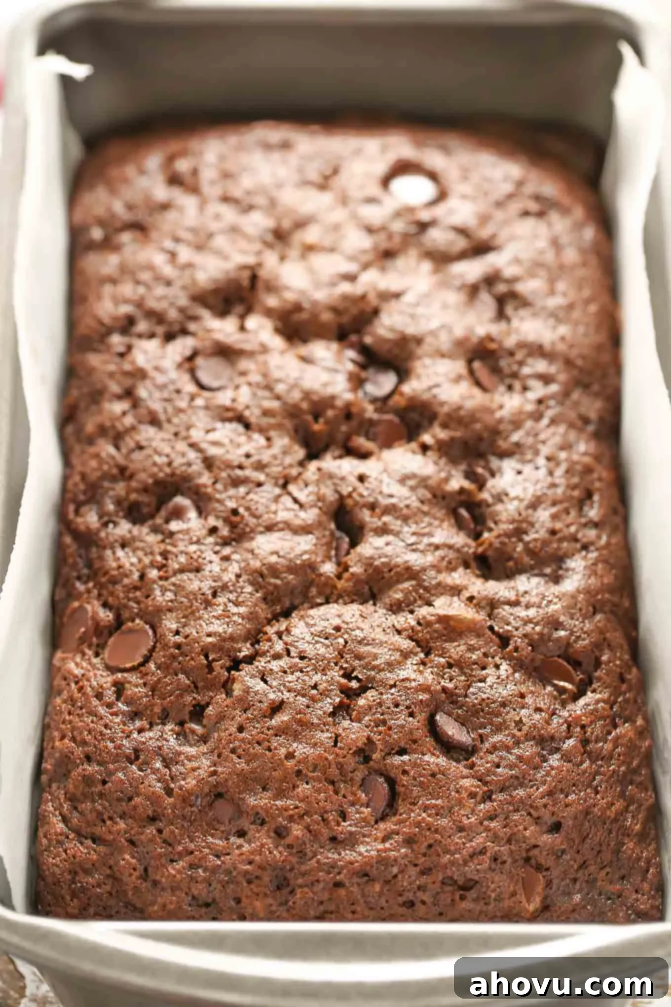 Ultimate Double Chocolate Zucchini Loaf 2 This Double Chocolate Zucchini Bread is incredibly rich, moist, fudgy, and loaded with chocolate chips!