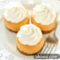A top-down shot of several Mini Pumpkin Cheesecakes, each topped with a dollop of whipped cream and a sprinkle of cinnamon, arranged on a rustic wooden board.