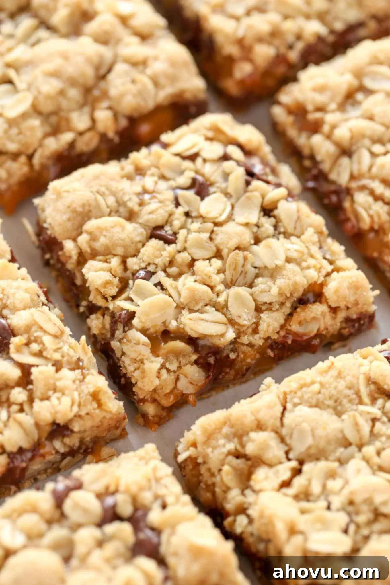 The Carmelitas 2 A close up shot of sliced oatmeal caramel bars.
