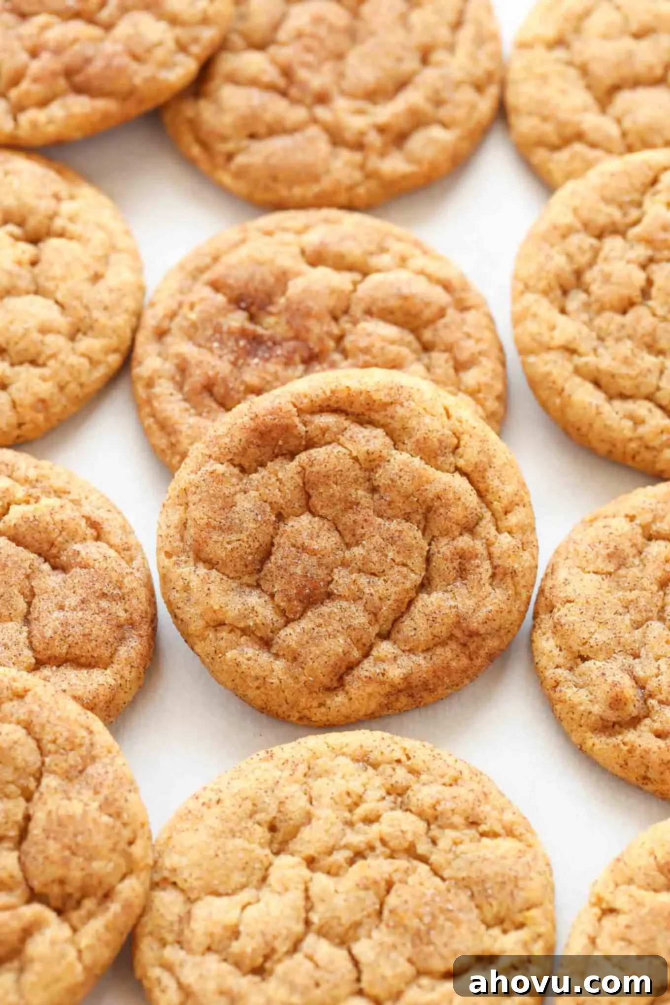 Spiced Pumpkin Snickerdoodles 2 Several perfectly golden-brown pumpkin snickerdoodles dusted with cinnamon sugar, arranged on a piece of white parchment paper, ready to be enjoyed.
