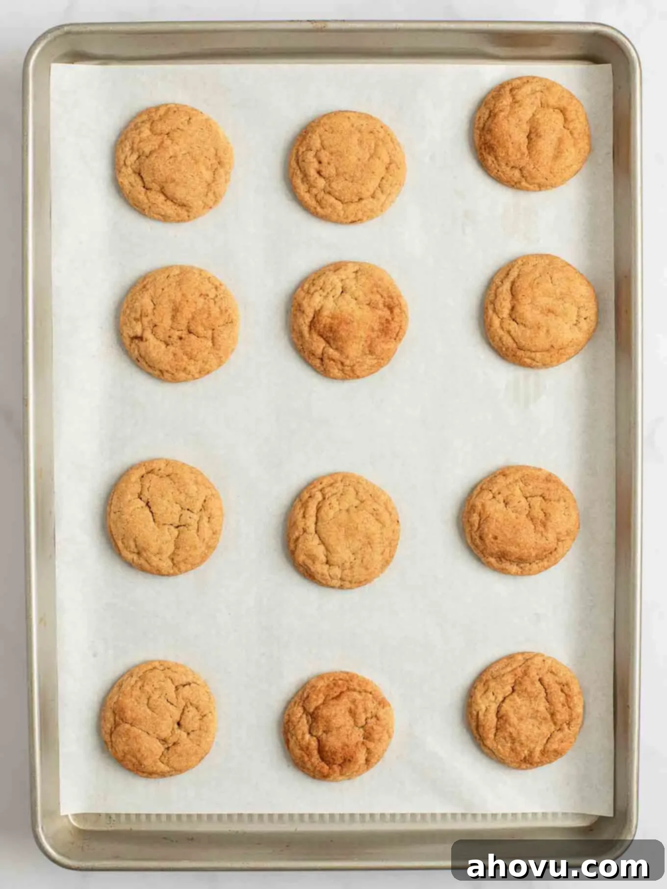 Spiced Pumpkin Snickerdoodles 9 An overhead view of a baking sheet filled with golden-brown pumpkin snickerdoodles, freshly baked and exhibiting their soft, crinkled tops and generous cinnamon sugar coating.