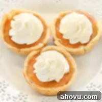 Three mini pumpkin pies topped with whipped cream on a decorative white plate.