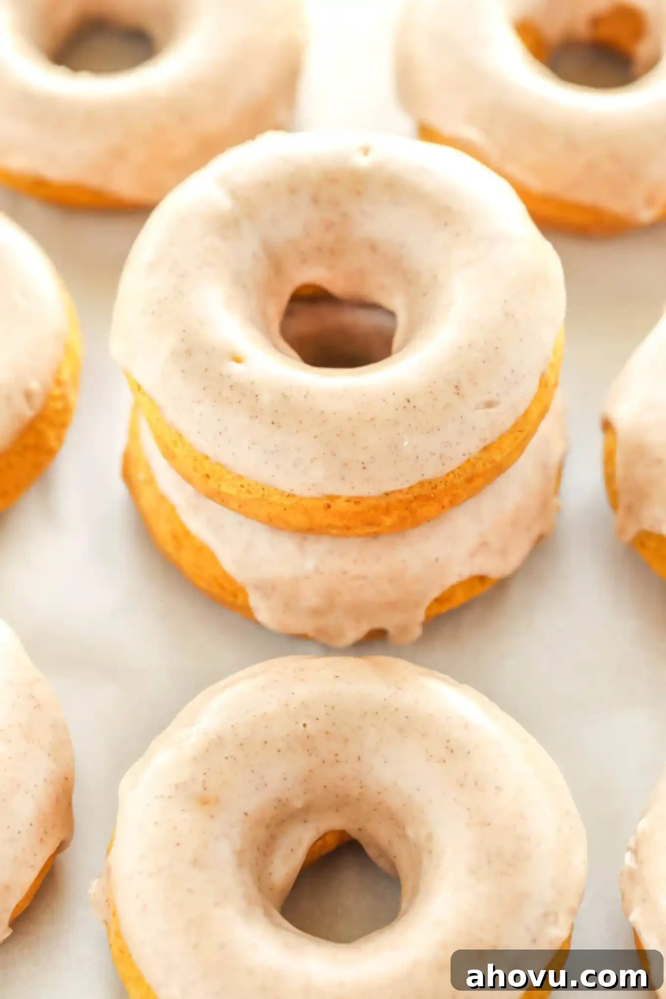 A stack of two baked pumpkin donuts. Additional donuts surround the stack.