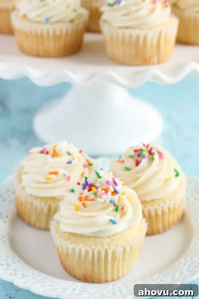 Vanilla Cupcakes