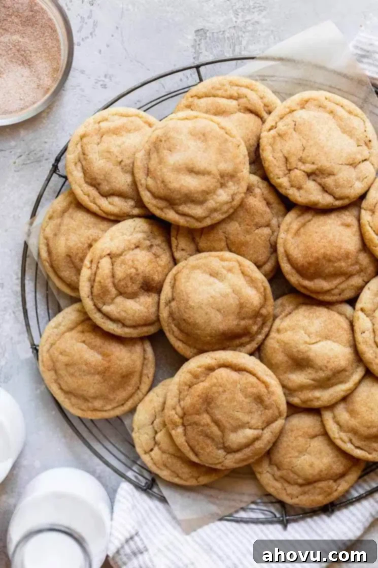 Ultimate Soft and Chewy Snickerdoodles 7 An overhead view of perfectly baked snickerdoodle cookies arranged on a round cooling rack.
