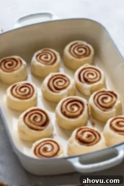 Cinnamon rolls that have been perfectly cut and arranged neatly into a baking pan, ready for their second rise and baking to become golden, gooey treats.