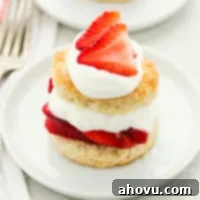 Strawberry shortcake topped with extra whipped cream and strawberries on a white plate.