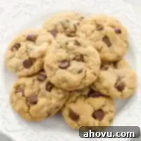 Dreamy Soft Peanut Butter Oatmeal Chocolate Chip Cookies 7 A stack of golden brown peanut butter oatmeal chocolate chip cookies on a simple white plate, highlighting their texture and tempting appearance.