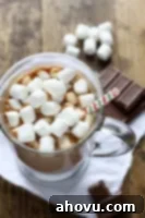 A small mug of rich homemade hot chocolate with a swirl of whipped cream on top.