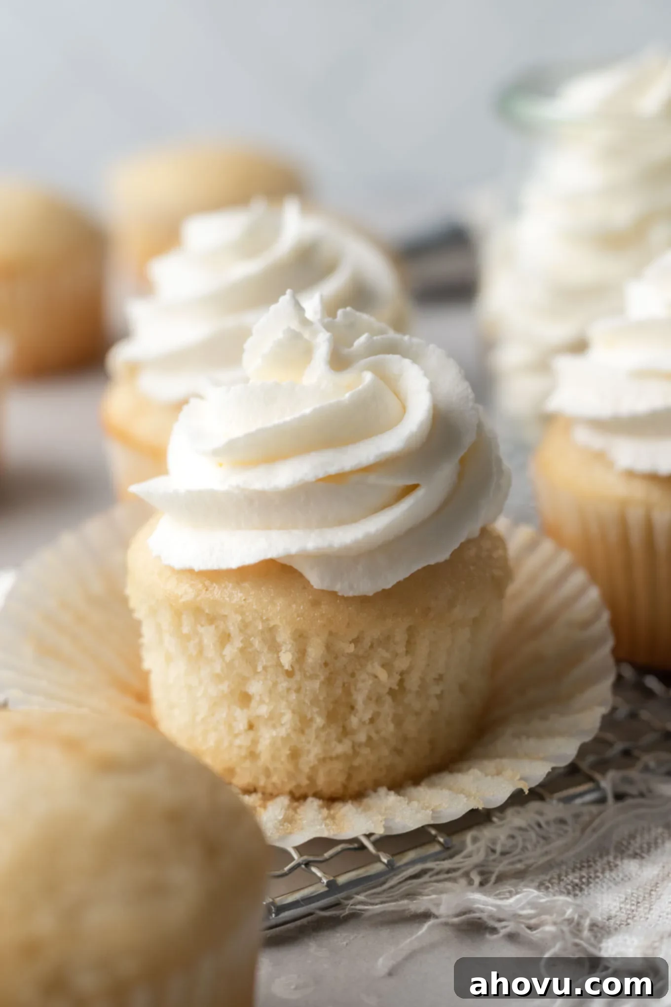 Vanilla cupcakes topped with stabilized whipped cream. 