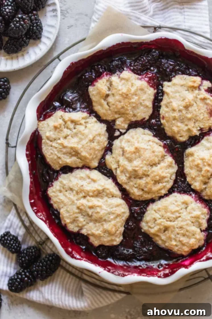 A beautifully baked blackberry cobbler in a round baking dish, garnished with fresh blackberries, ready to be served.