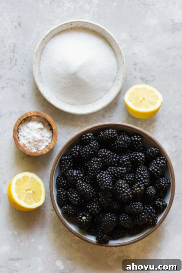 Rustic bowls filled with fresh blackberries, granulated sugar, cornstarch, and a lemon, showcasing the simple ingredients for the blackberry cobbler filling on a gray surface.