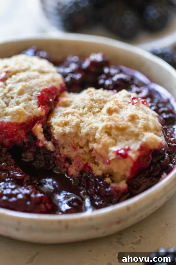 A close-up of a serving of blackberry cobbler in an antique bowl, with a spoon digging into the biscuit topping, revealing its soft, fluffy texture and the rich fruit filling beneath.