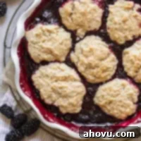 A baked blackberry cobbler in a round white baking dish, showcasing the golden biscuit topping and bubbly fruit filling.