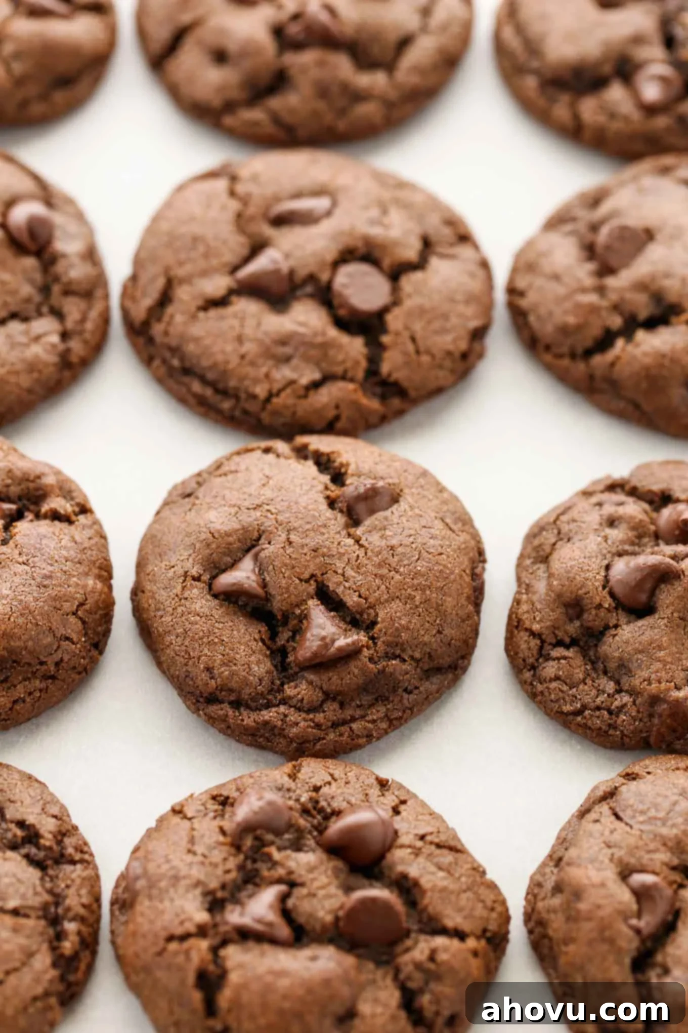 Three rows of perfectly baked, soft double chocolate chip cookies cooling on a piece of parchment paper, highlighting their rich color and abundant chocolate chips.