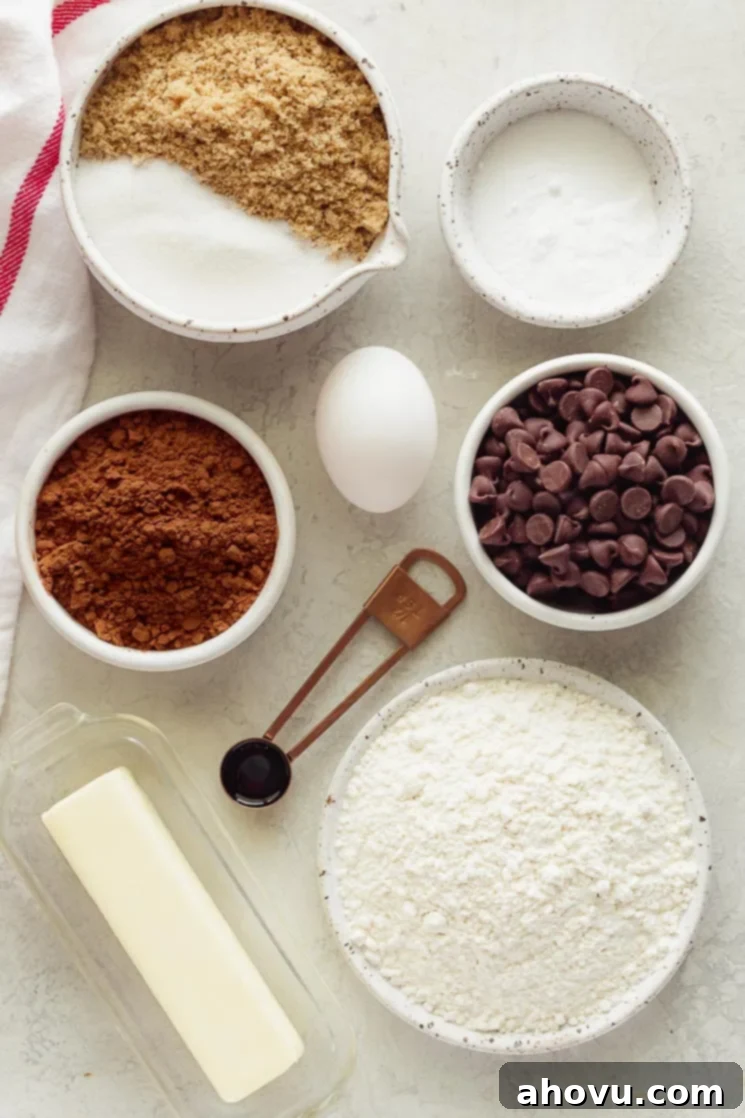 A flat lay arrangement of fresh ingredients including flour, cocoa powder, butter, sugars, and chocolate chips, ready for making double chocolate chip cookies.