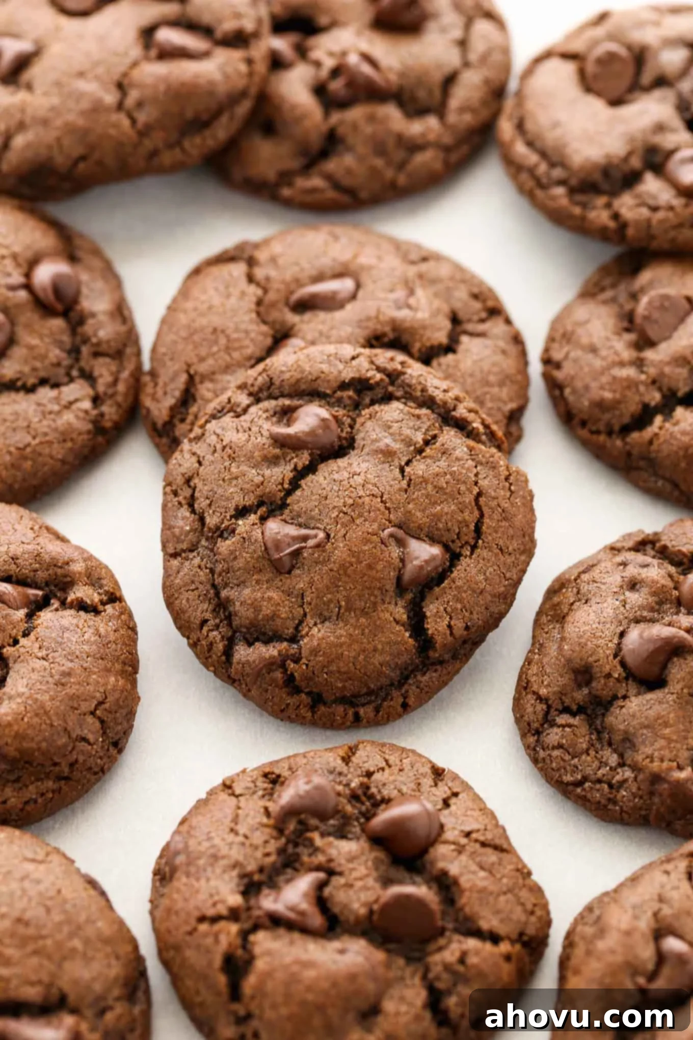 A perfectly arranged line of freshly baked double chocolate chip cookies, rich in color and studded with melted chocolate chips, on parchment paper.
