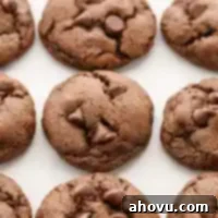 A delicious double chocolate chip cookie fresh from the oven, with melty chocolate chips visible.