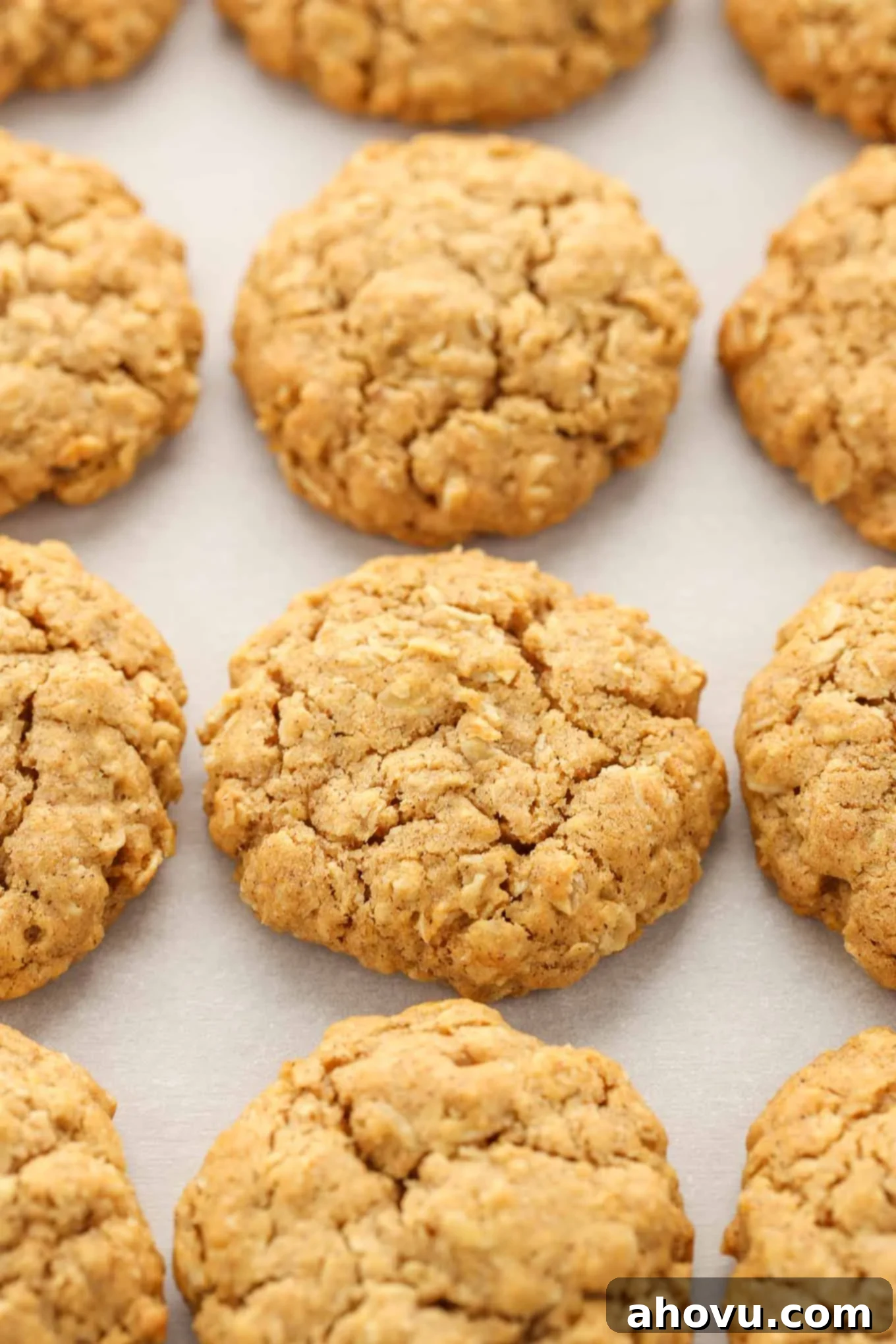 These pumpkin oatmeal cookies are super soft, chewy, thick, and full of pumpkin flavor! The perfect cookie for fall! 