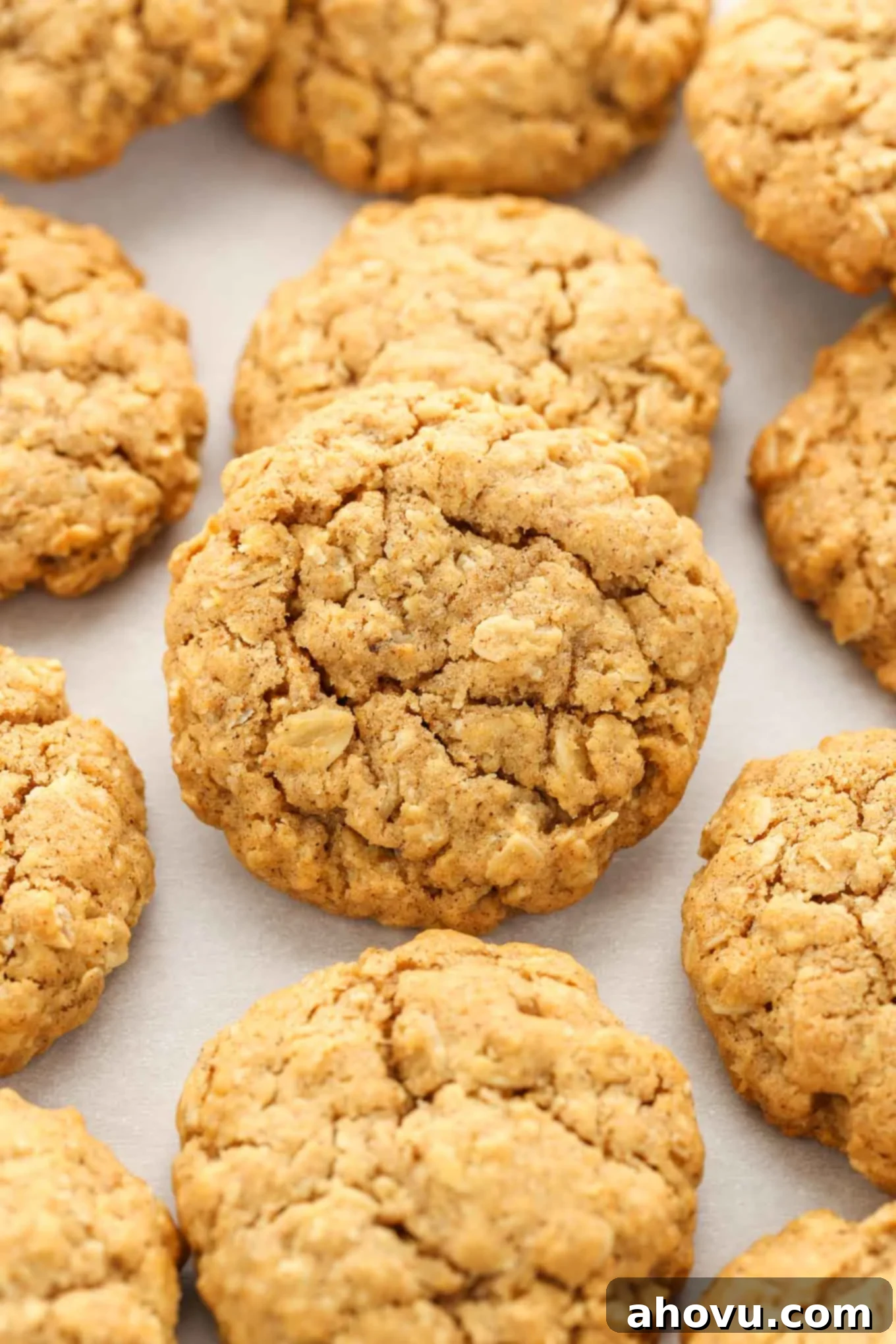 These pumpkin oatmeal cookies are super soft, chewy, thick, and full of pumpkin flavor! The perfect cookie for fall! 