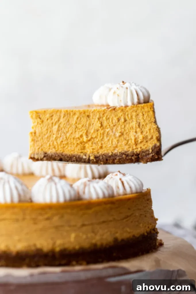 A single piece of creamy pumpkin cheesecake being lifted with a spatula, beautifully showcasing its smooth filling and the inviting gingersnap crust.
