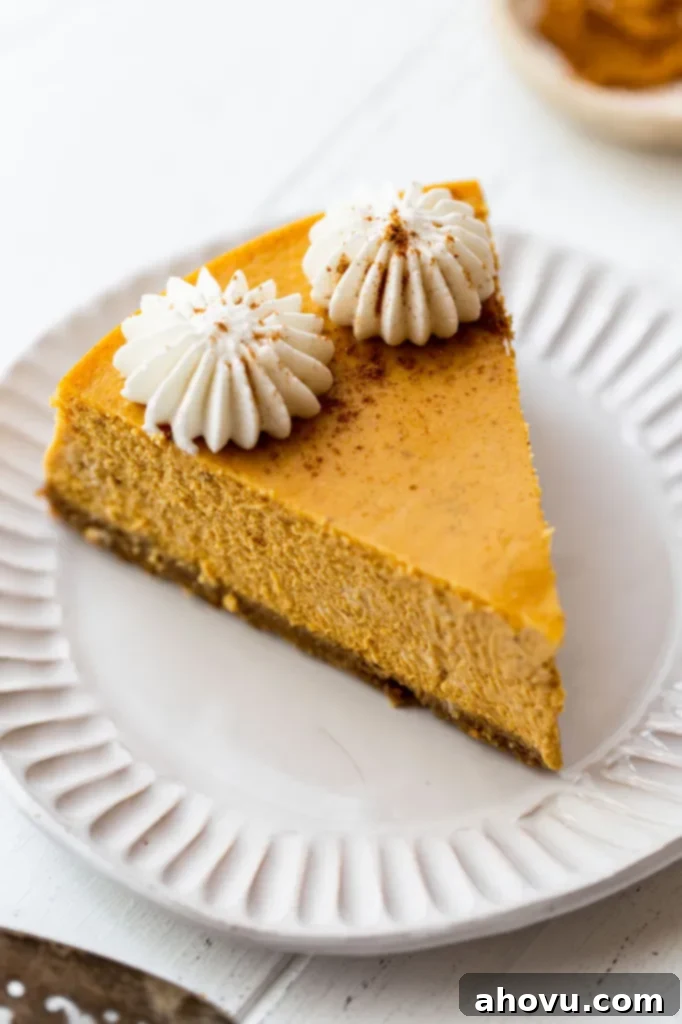 A beautifully presented single slice of pumpkin cheesecake on a white plate, elegantly topped with homemade whipped cream and a sprinkle of cinnamon.