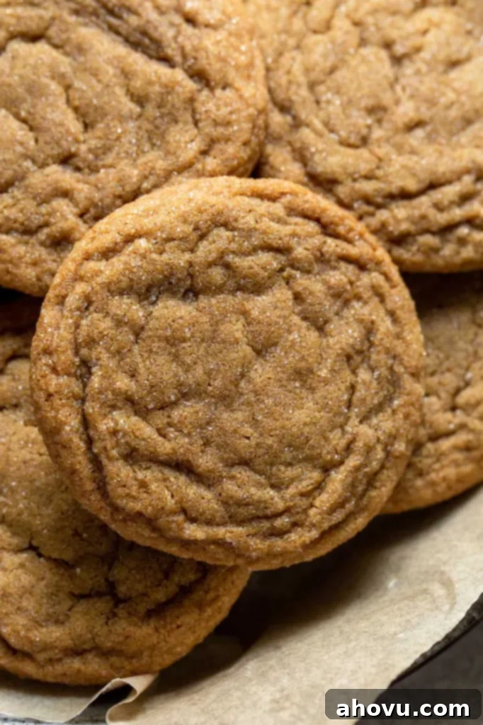 A close-up photograph showcasing a single, perfectly baked ginger molasses cookie, highlighting its cracked top, golden-brown edges, and inviting texture, with sugar crystals glistening.