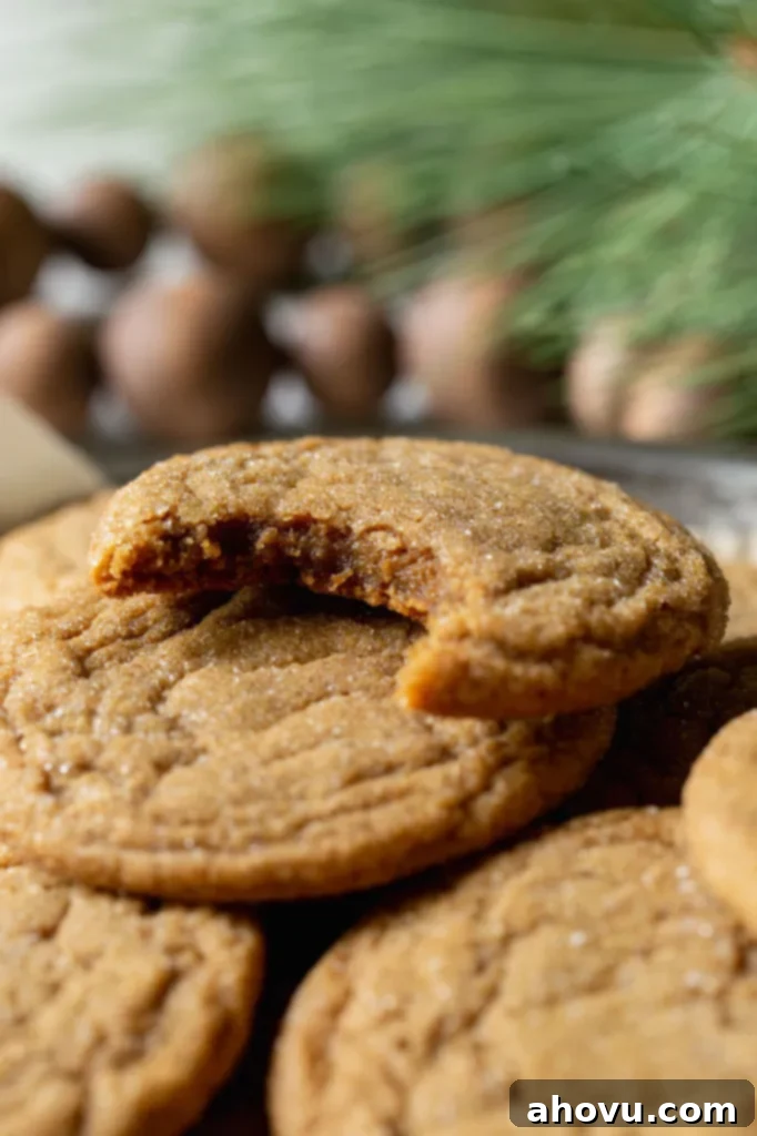 A stack of golden-brown molasses cookies, with the top cookie having a perfect bite taken out of it, revealing its soft and chewy interior.