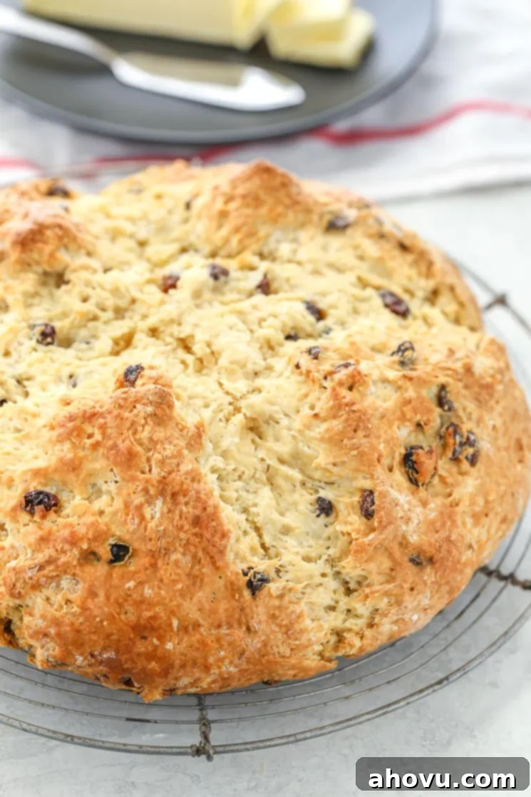 A round loaf of Irish Soda Bread with raisins on top of an antique round cooling rack. There is a black plate with sliced butter in the background. 