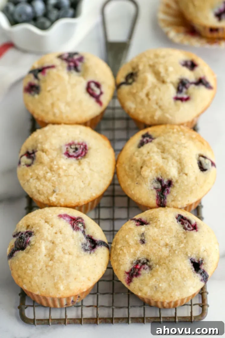 Blueberry muffins on top of a safety grater with blueberries in the background. 