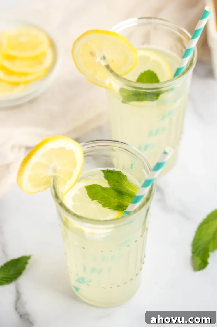 Two glasses of homemade lemonade with lemon slices, mint leaves, and straws.