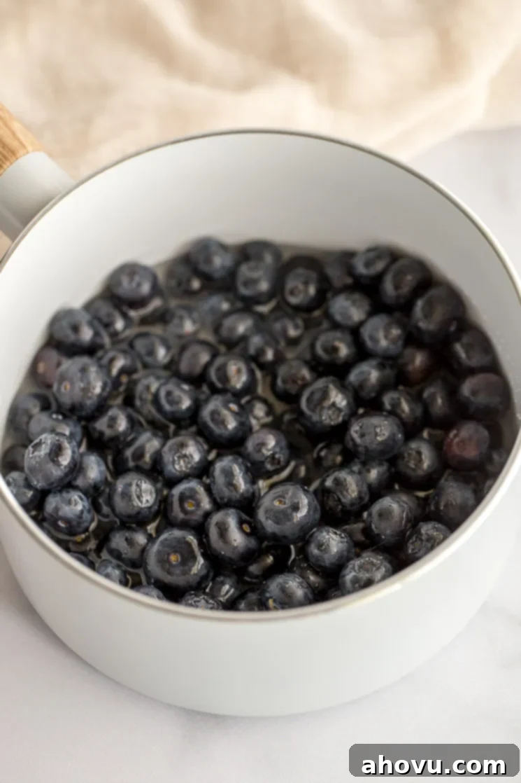A white saucepan filled with fresh blueberries, water, sugar, and lemon juice.