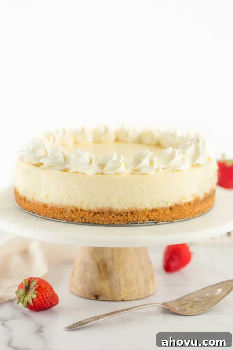 A perfectly baked classic cheesecake topped with delicate whipped cream, resting on a beautiful marble cake stand, ready to be served.