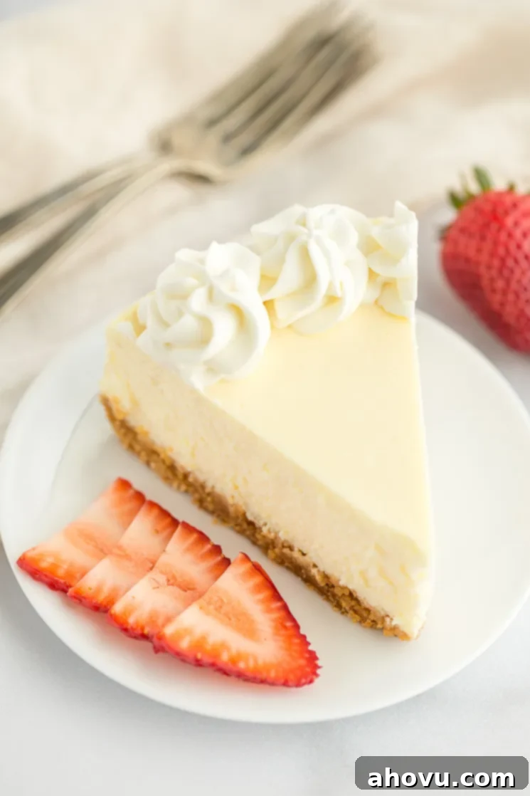 A single, delectable slice of classic cheesecake, elegantly topped with a swirl of fresh whipped cream, presented on a pristine white plate.