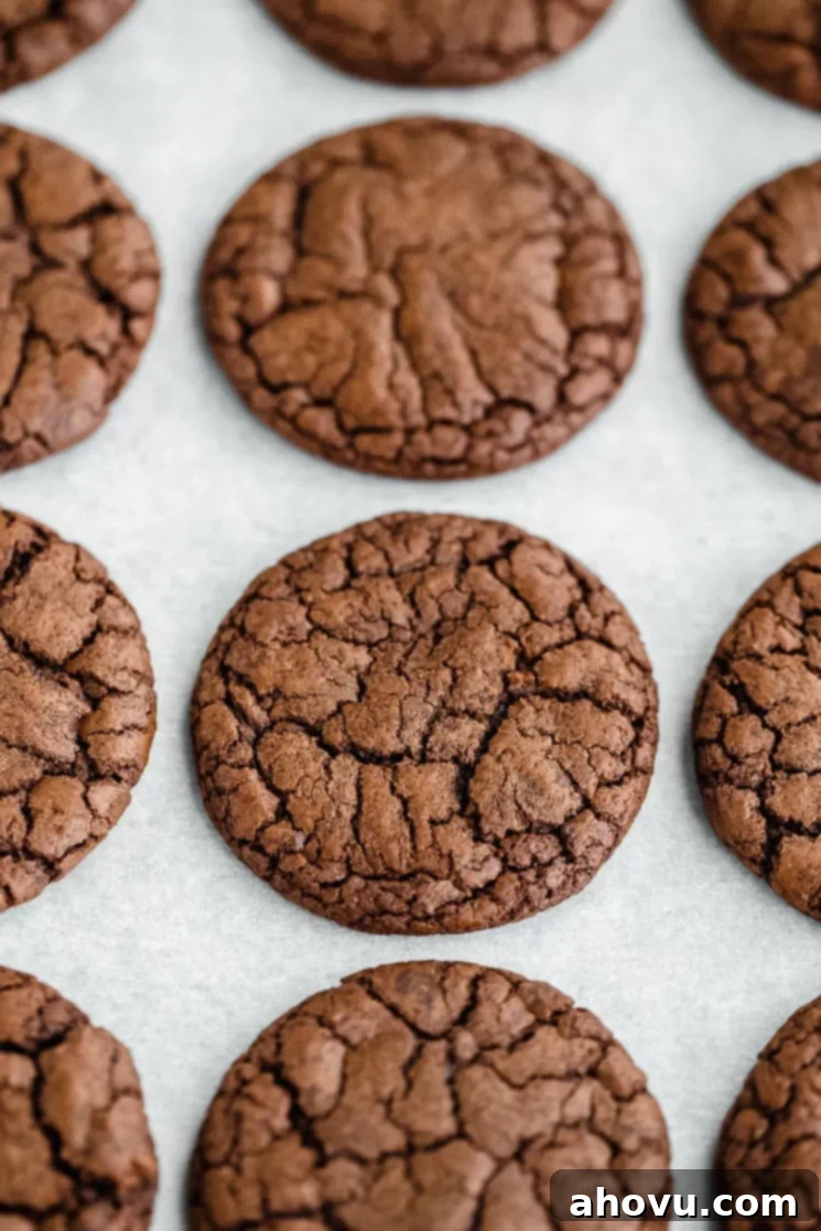 Several perfectly baked cocoa powder cookies, displaying their rich color and crinkly tops, are neatly lined up on a baking sheet covered with parchment paper.