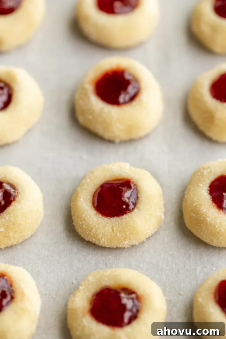 Jammy Jewels 3 A baking sheet lined with parchment paper, displaying a batch of unbaked thumbprint cookies. Each cookie ball is rolled in granulated sugar and features a small indentation, ready to be filled with jam before baking.