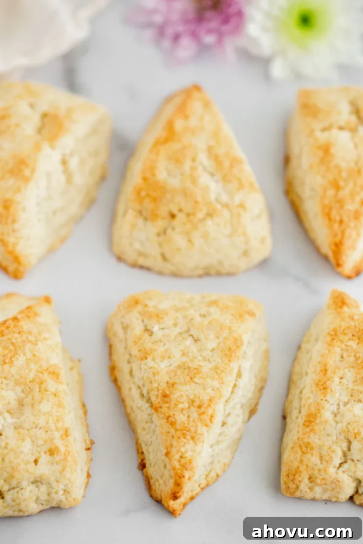Golden-brown, perfectly baked plain scones, arranged in a neat row on a marble surface, showcasing their delicious crust.