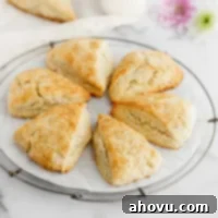 A freshly baked batch of delightful scones arranged neatly on a round wire cooling rack, ready to be served.