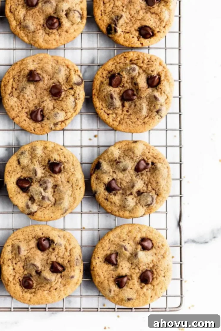 Pumpkin chocolate chip cookies lined up on a wire rack.