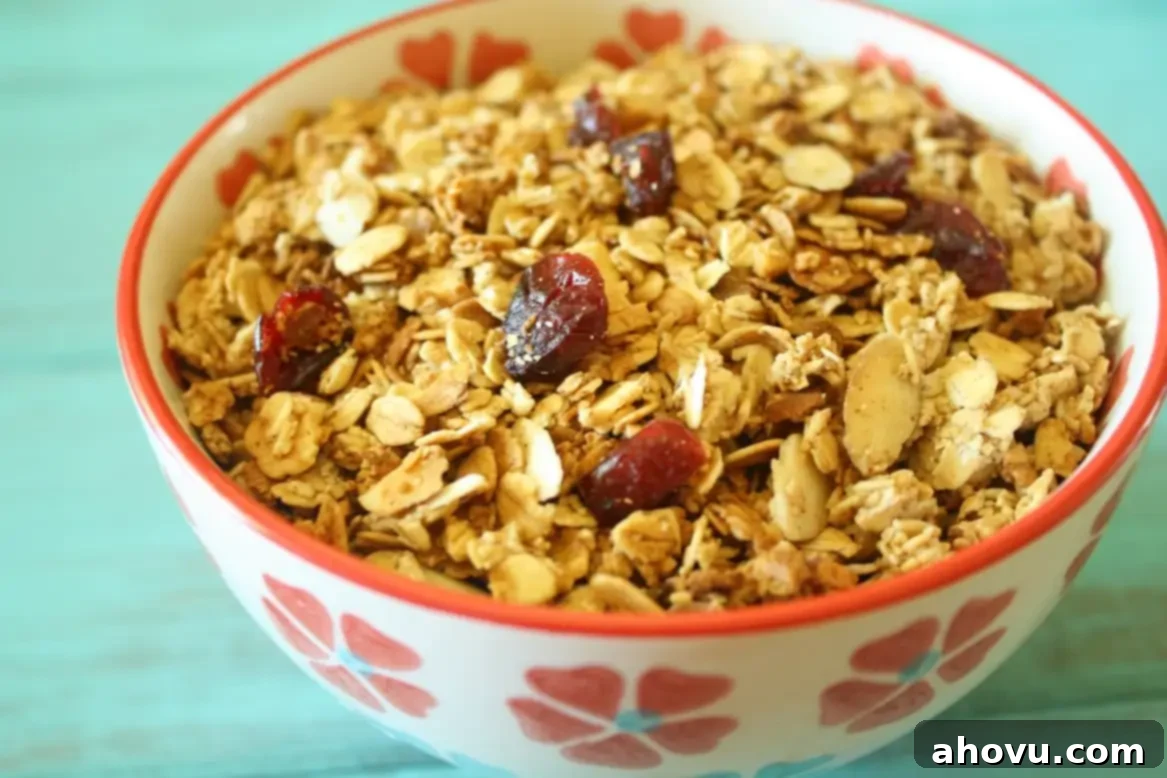Handcrafted Granola Goodness 2 Healthy Homemade Granola with almonds and cranberries