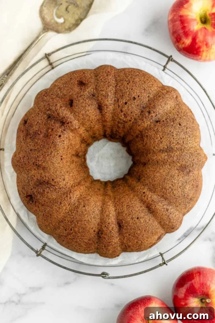Orchard Apple Delight 4 An apple cake sitting on top of a round wire rack, cooling down.