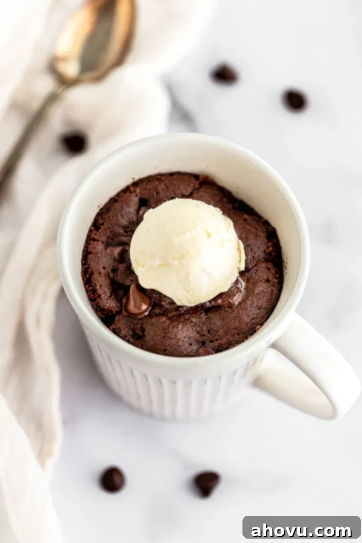 A decadent chocolate mug cake adorned with a sprinkle of chocolate chips and a generous scoop of creamy vanilla ice cream, resting on an elegant marble surface, ready to be enjoyed.