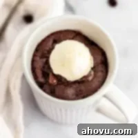 A decadent chocolate mug cake crowned with a scoop of melting ice cream, a perfect single-serving dessert.
