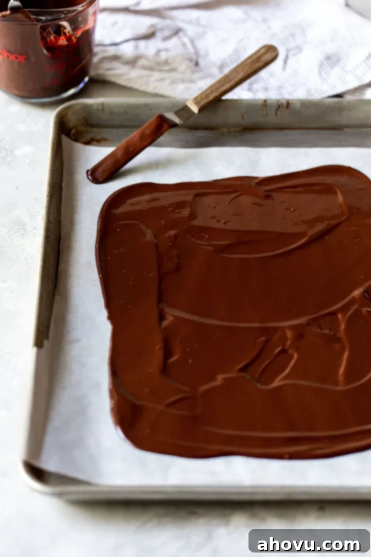 A smooth, even layer of melted semi-sweet chocolate spread across a piece of parchment paper on a baking sheet, forming the base of the peppermint bark.