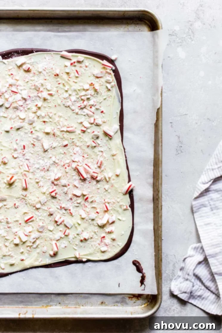 A finished batch of dual-layered peppermint bark resting on a metal baking pan lined with parchment paper, showcasing its smooth white and dark chocolate layers topped with festive candy canes.